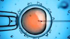 Recreación de la fertilización de una célula del óvulo: Ciencia y tecnología revolucionan la reproducción asistida / QUIRÓNSALUD (ST)