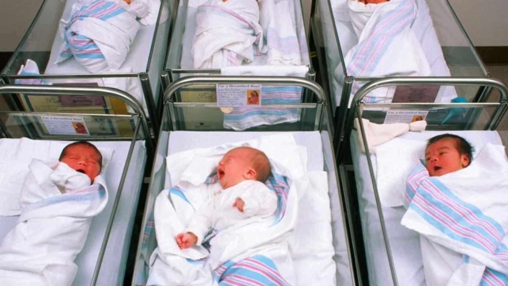 Bebés recién nacidos en el hospital en una imagen de archivo / ARCHIVO