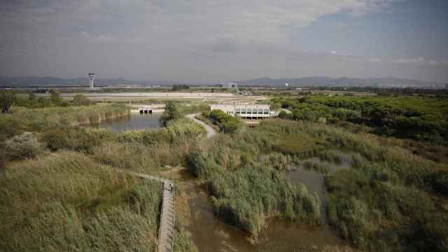 Vista general del espacio protegido de la Ricarda, en El Prat de Llobregat / EUROPA PRESS