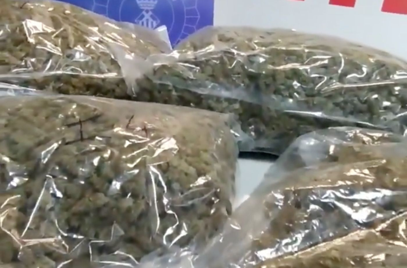 Imagen de archivo de bolsas de marihuana listas para su distribución / MOSSOS D'ESQUADRA