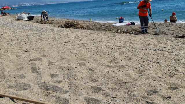 Trabajadores del AMB limpiando la playa del Fòrum tras un temporal / CEDIDA