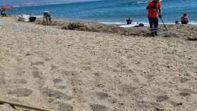 Trabajadores del AMB limpiando la playa del Fòrum tras un temporal / CEDIDA