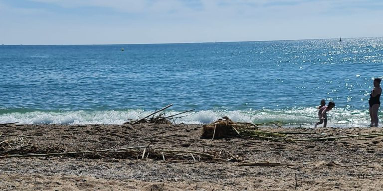 La arena de la playa del Fòrum llena de escombros después de un temporal / CEDIDA