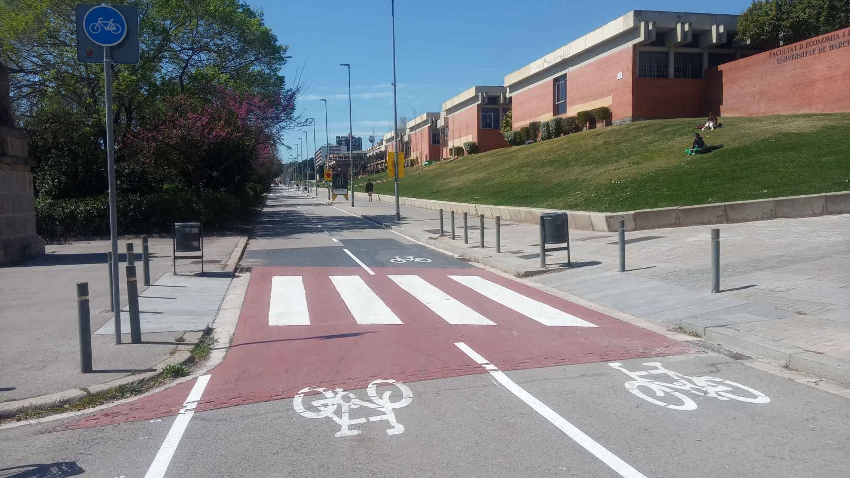 Carril bici en la avenida Diagonal / AYUNTAMIENTO DE BARCELONA