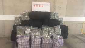 Bolsas de marihuana listas para su distribución / MOSSOS D'ESQUADRA
