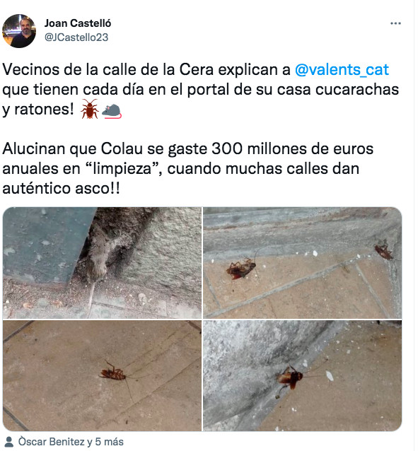 Tuit de Valents sobre ratas y cucarachas en una calle del Raval / TWITTER JOAN CASTELLÓ