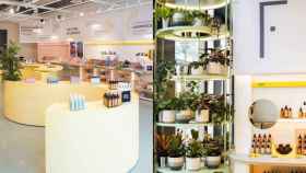 Interior del nuevo 'flagship store' de Freshly Cosmetics en el centro comercial Westfield Glòries / FRESHLY COSMETICS