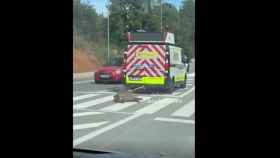 Fotograma del vídeo que muestra como una furgoneta del Ministerio de Transportes arrastra un jabalí muerto