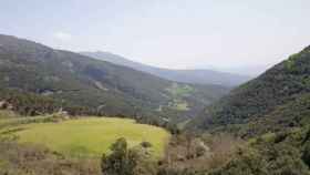 Imagen de archivo del parque natural del Montseny / DIPUTACIÓN DE BARCELONA