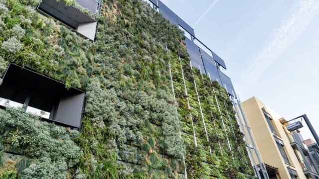 Jardín vertical en un edificio de Barcelona / AYUNTAMIENTO DE BARCELONA