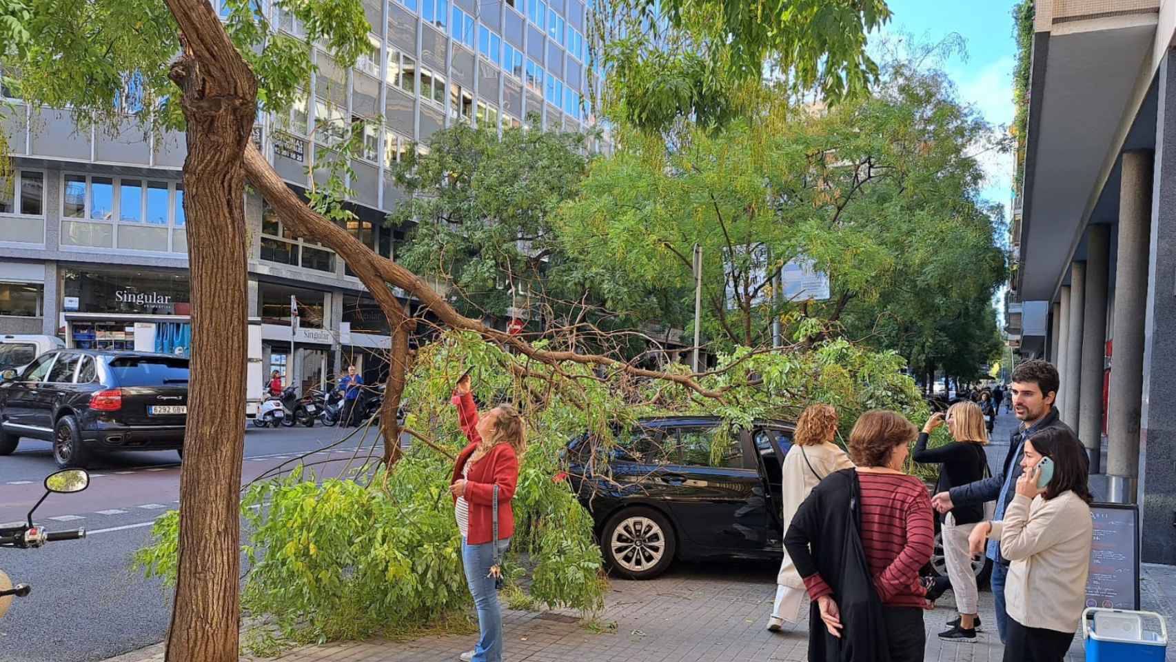 La rama de un árbol caído sobre un coche en Sant Gervasi / BETEVÉ
