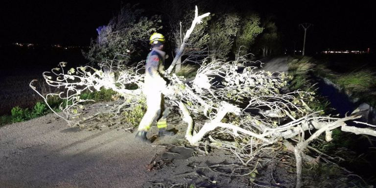 Un bombero retira un árbol caído en la vía N-340 a su paso por l'Aldea (Tarragona) la noche de este lunes / BOMBERS 