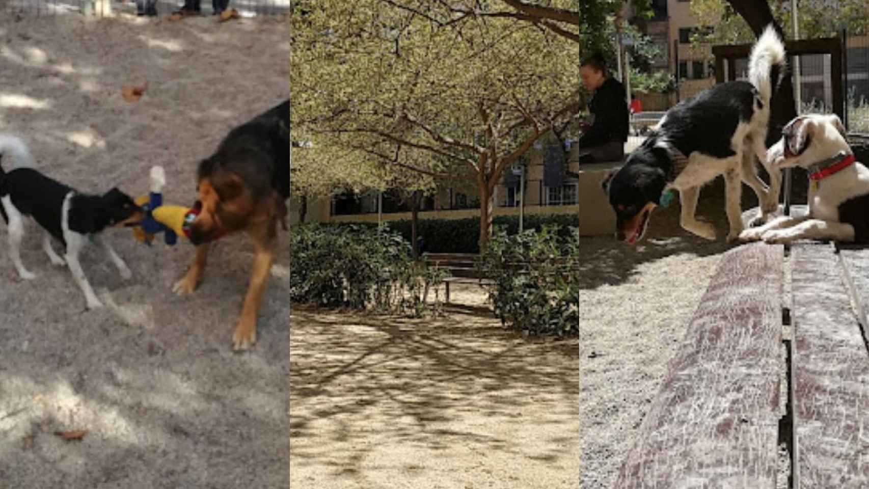 El parque para perros que se cerrará para recuperar un interior de manzana en l'Eixample Esquerra / GOOGLE MAPS