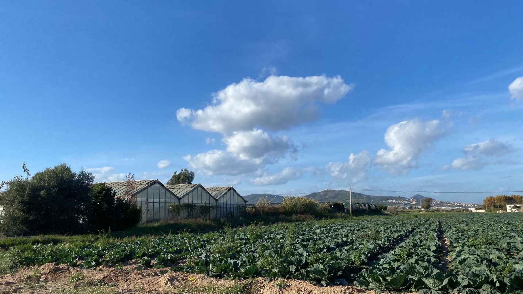 Zona agrícola de Viladecans, en la parte sur del delta del Llobregat / METRÓPOLI