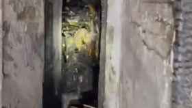 Captura de pantalla del vídeo del incendio en la calle de Rosselló / REDES SOCIALES