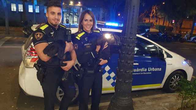 Agentes de la Guardia Urbana con perros rescatados / TWITTER GUB