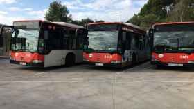 Autobuses de TMB en la cochera de Horta / METRÓPOLI - RP