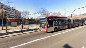 Autobuses en una parada del camino de la Torre Melina / MAPS