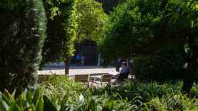 Los populares jardines de Barcelona que reabren el lunes tras sufrir plagas de ratas durante tres meses / AJUNTAMENT DE BARCELONA