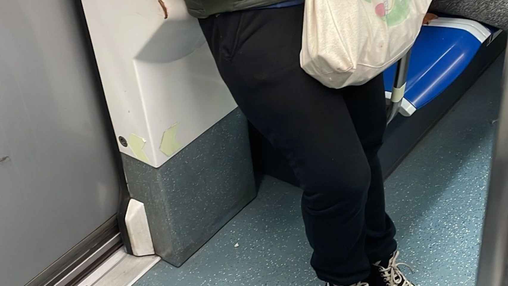 Manolo, una oca viral en redes sociales por su aparición en el metro de Barcelona / TWITTER CASALYOSCAR