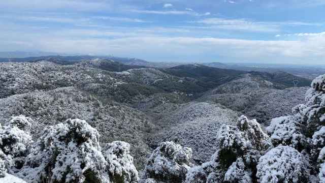 Espectacular nevada en Begues, en el Baix Llobregat / METRÓPOLI - Lorena Hens