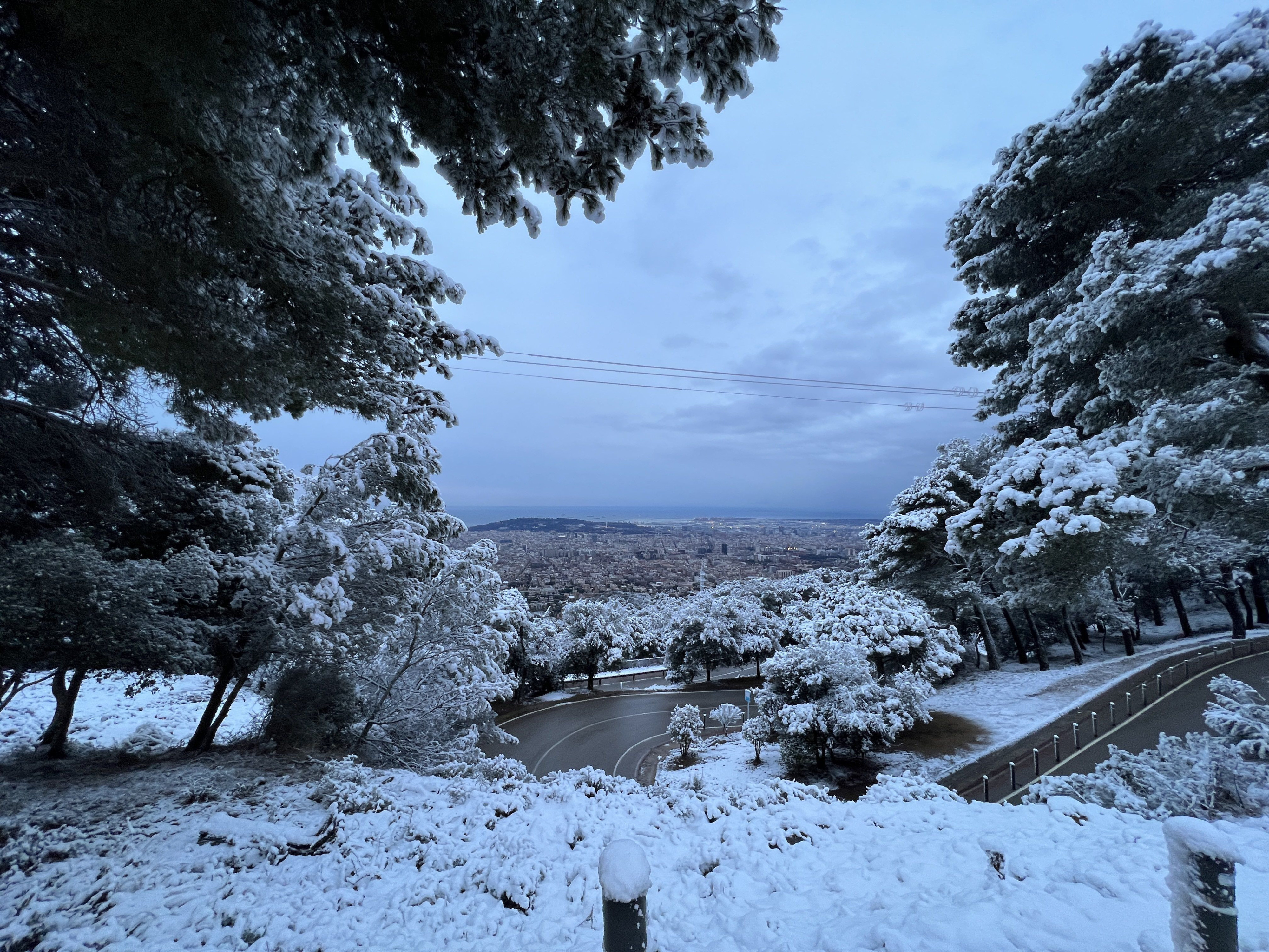 La sierra de Collserola, nevada este lunes / ROBERTO DE GODOS