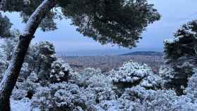 Nieve en Collserola este lunes / ROBERTO DE GODOS