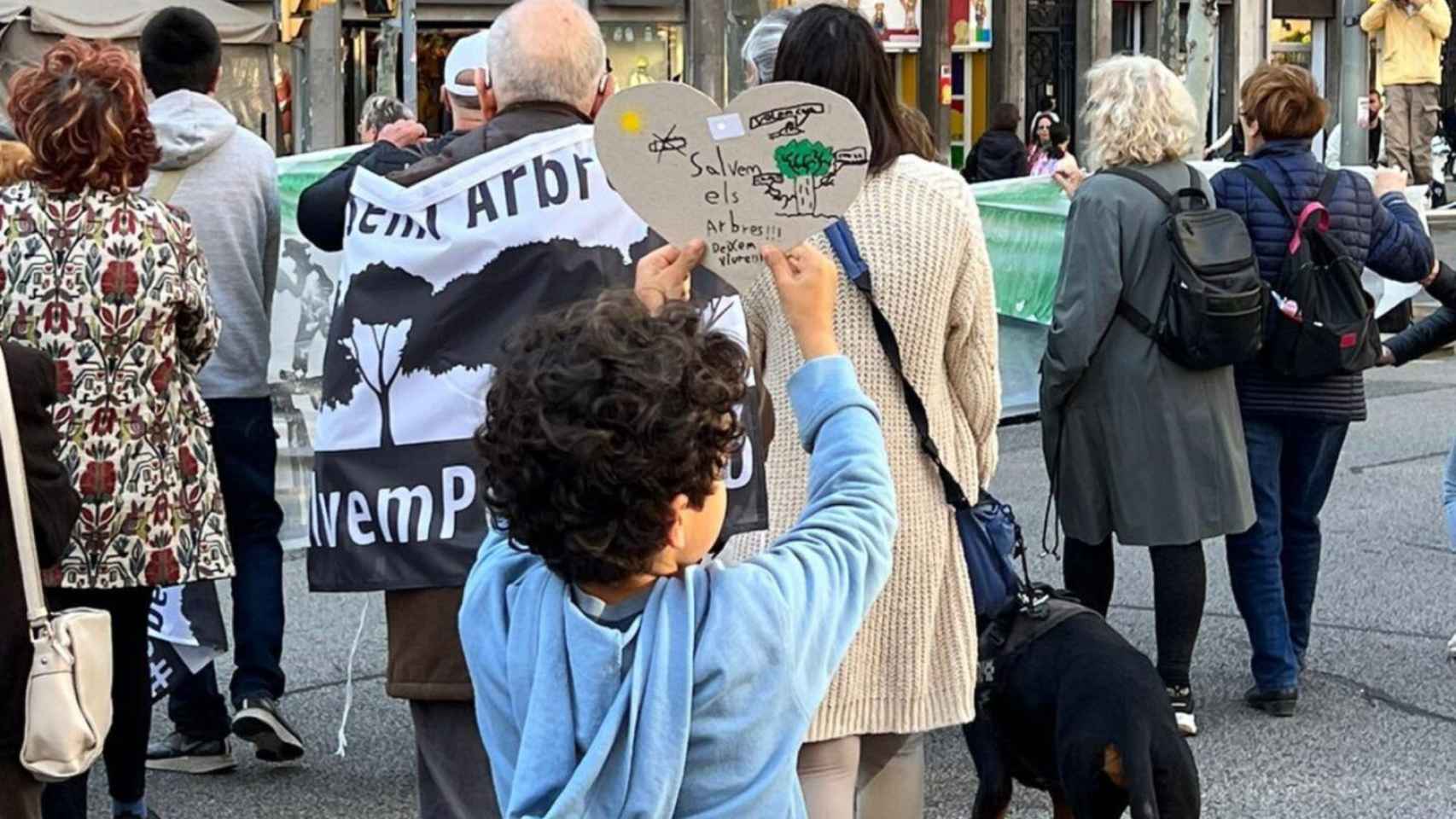 Manifestantes protestando contra la tala de los árboles del parque de Joan Miró / BETEVÉ