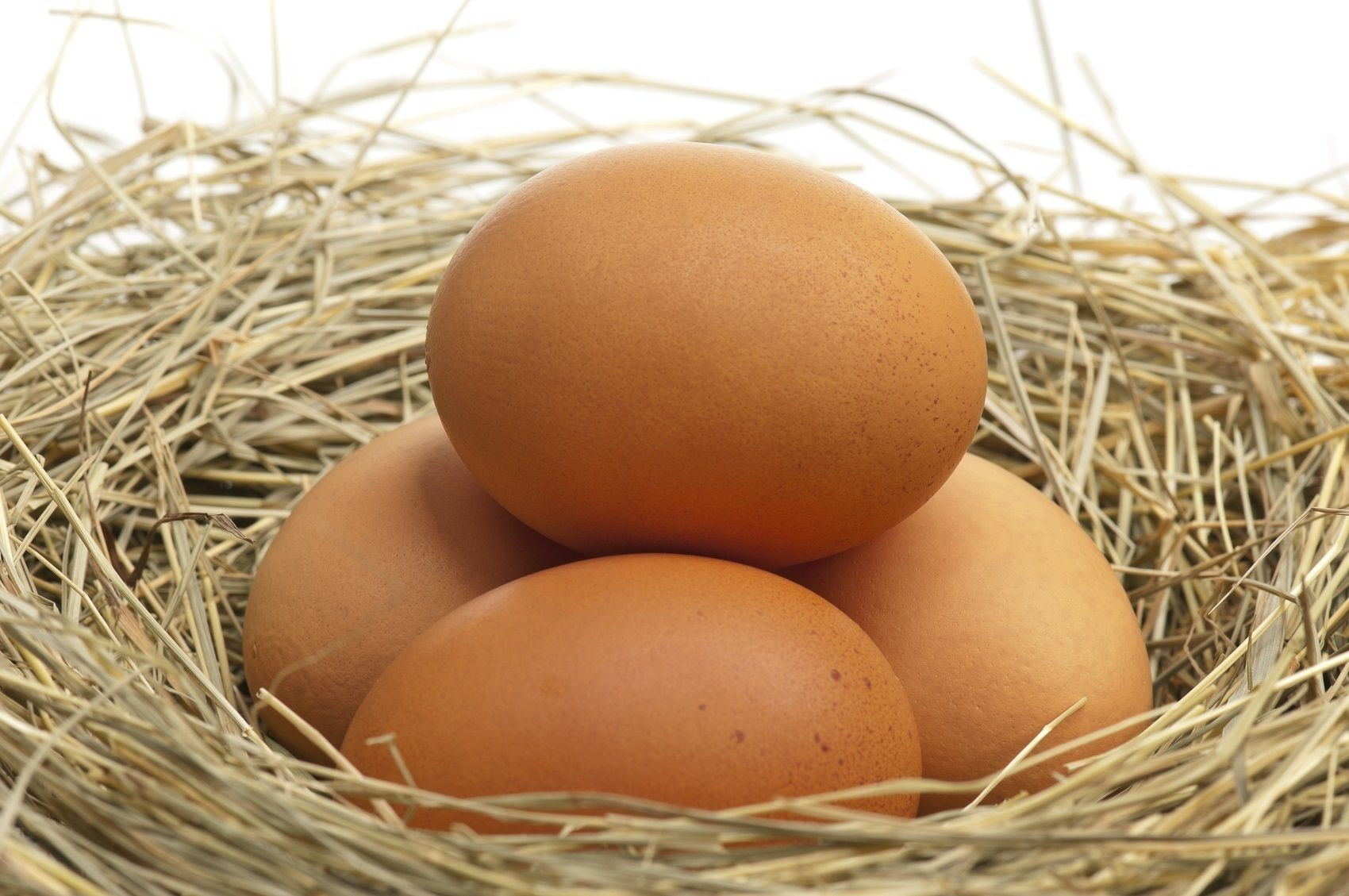 La proteína de los huevos es el detonante de muchas alergias en los niños / EUROPA PRES