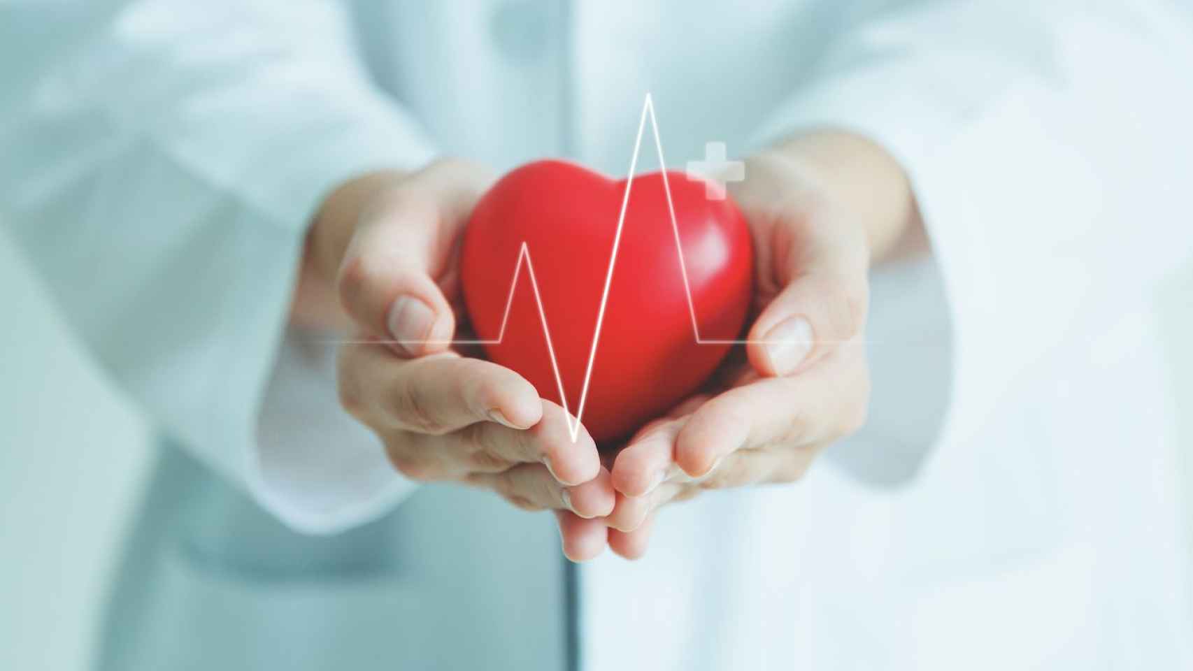 Proteger la salud del corazón exige llevar un estilo de vida saludable / QUIRÓNSALUD