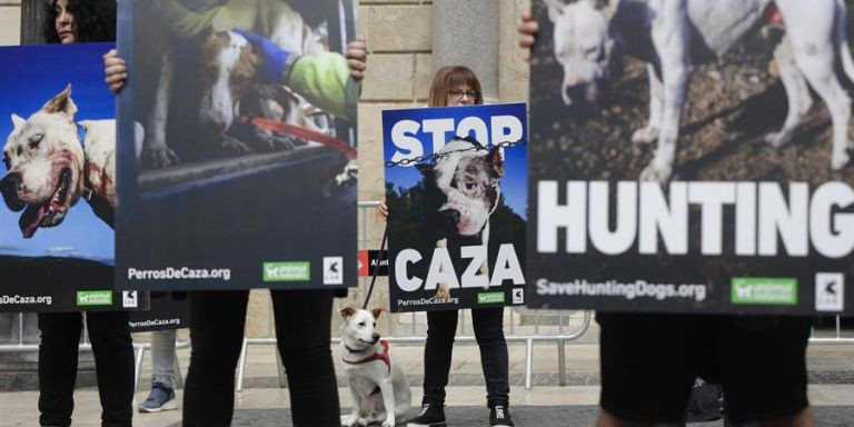 Manifestación para la protección de los perros de caza en la plaza Sant Jaume / EFE