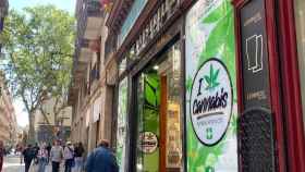 La antigua farmacia la Estrella convertida en una tienda de cannabis en Ciutat Vella / ALBA CARNICÉ (MA)