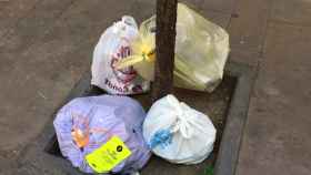 Bolsas de basura sin recoger en un alcorque en Sant Andreu / METRÓPOLI