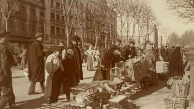 Personas pasean por la Rambla de Barcelona a principios del siglo XX / FREDERIC BALLELL - ARXIU FOTOGRÀFIC DE BARCELONA