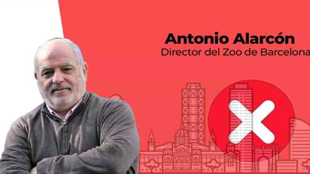 Fotomontaje donde aparece Antonio Alarcón, director del Zoo de Barcelona / METRÓPOLI