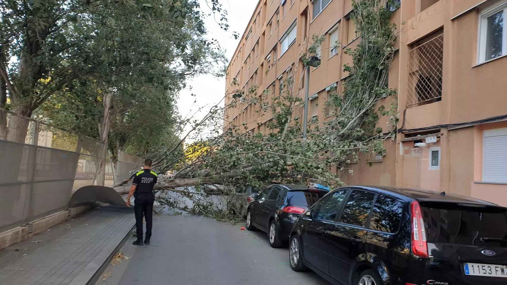 Cae un árbol en un cole en Sant Adrià de Besòs / REDES SOCIALES