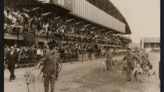 El último canódromo de Barcelona en una imagen de archivo / ATENEO DE INNOVACIÓN DIGITAL Y DEMOCRÁTICA