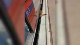 Una mujer queda atrapada entre las vías y el metro en Barcelona / REDES SOCIALES