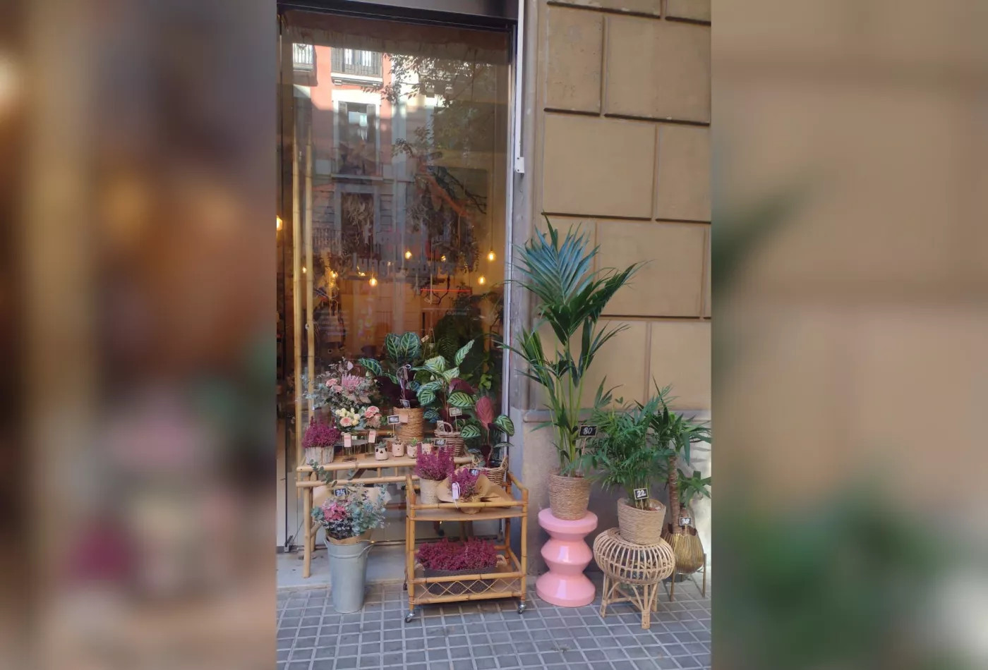 Entrada a la floristería Mowgli de Barcelona con decoraciones / MOWGLI