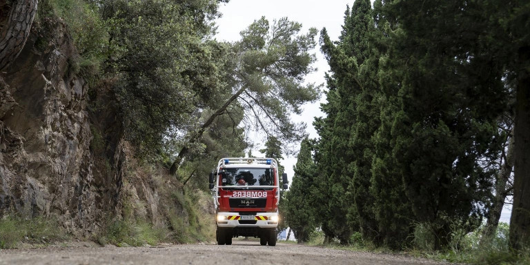 Un camión de los Bombers de Barcelona circula por Collserola / AYUNTAMIENTO DE BARCELONA