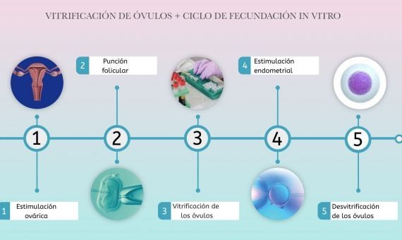 Infografía sobre vitrificación de óvulos + FIV /1