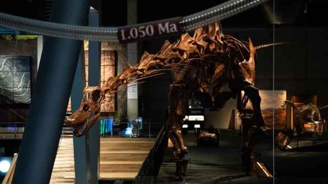 Inauguración dinosaurios de la Patagonia en Cosmocaixa