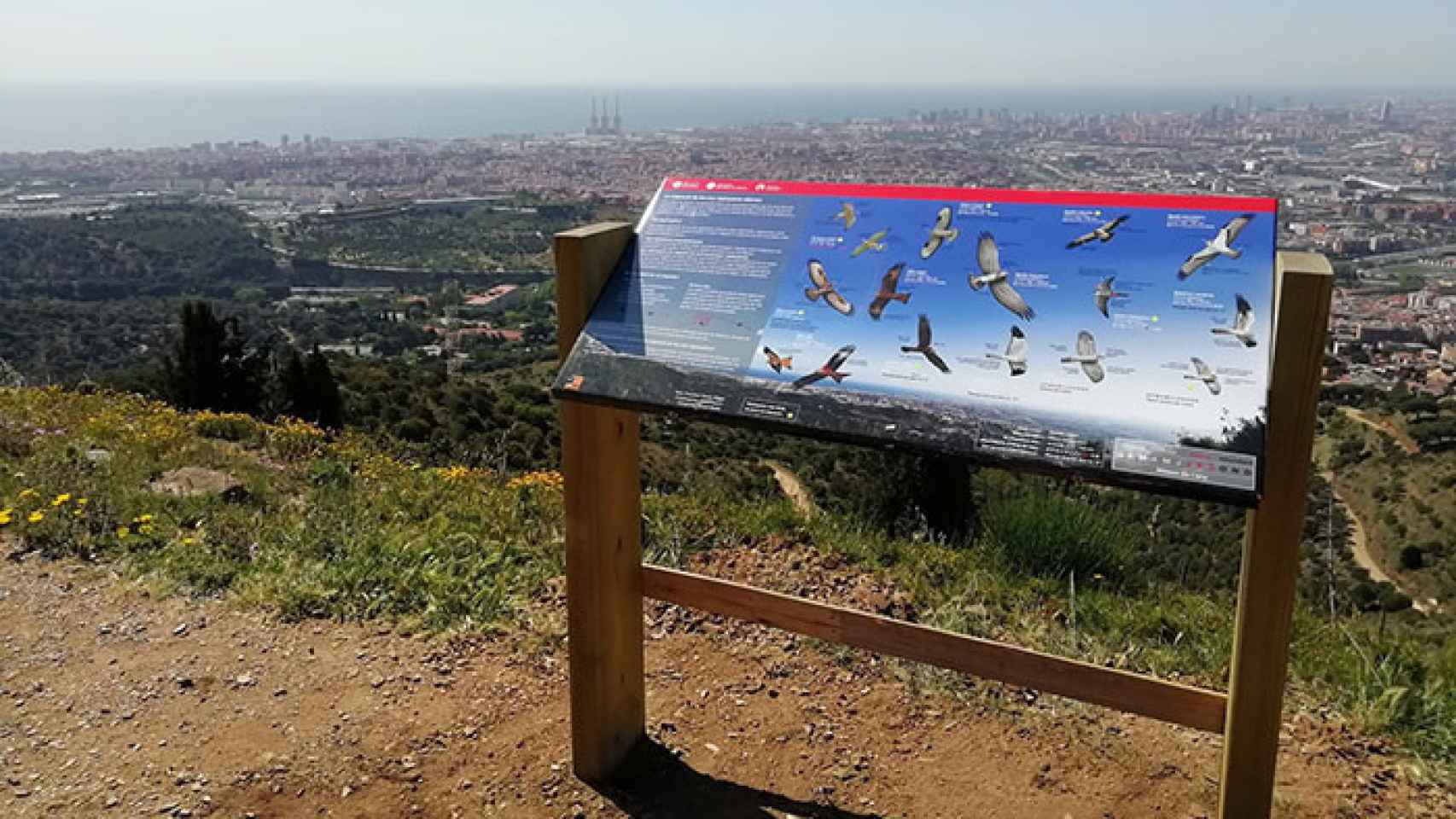 El parque de la Serralada de Marina en Santa Coloma