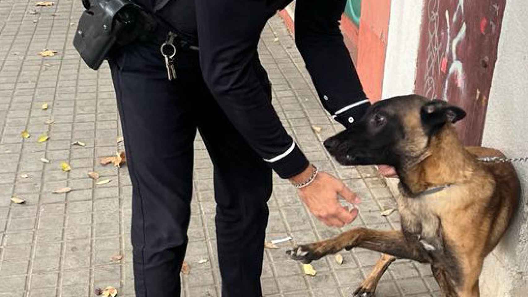 Un agente de la Guardia Urbana con el perro rescatado